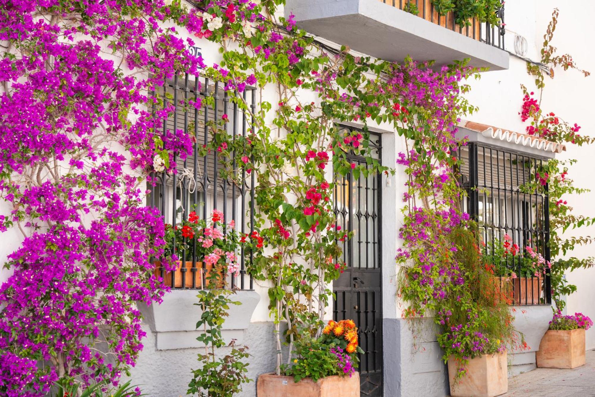 Marbella Luxury Duplex 106 Close To The Beach 外观 照片